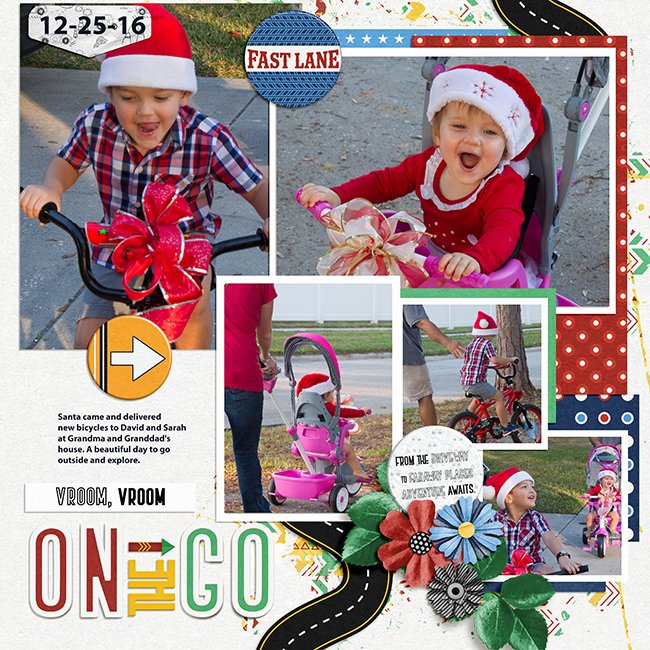 2016-christmas-bikesMFish_VAIslandTime03_02-copy.jpg