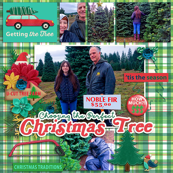 2016 Christmas Getting the Tree