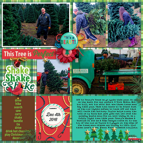 2016 Christmas Getting the Tree