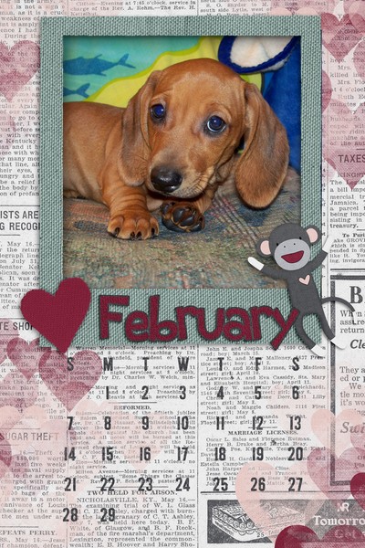 2016 February