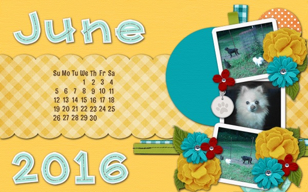 2016 May Desktop