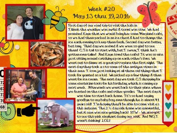 2016 Week 20 - Project 365 Challenge