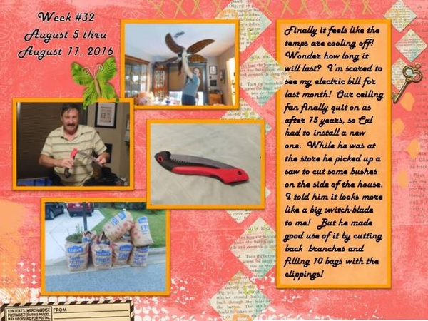 2016 Week 32 - Project 365 Challenge