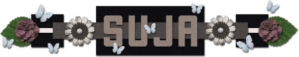 201611 Siggy