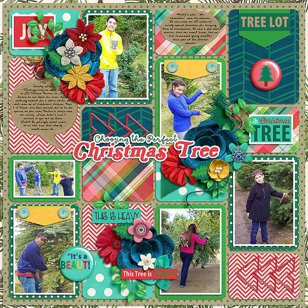 20161127_CutYourOwnTree_Left_WEB