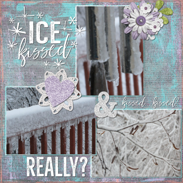 2017-01 Ice+Snow1 waw_snowdays