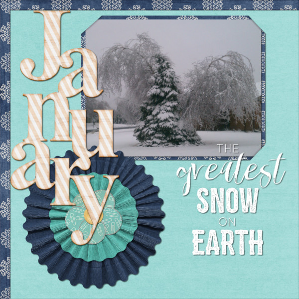 2017-01 Ice+Snow2 waw_snowdays