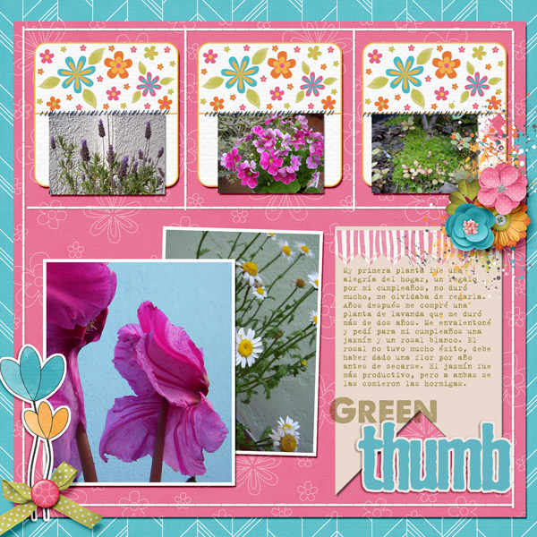 2017-08-Agosto-Color-Challenge