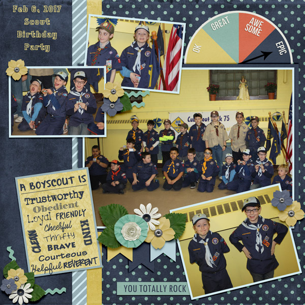 2017 Boy Scouts