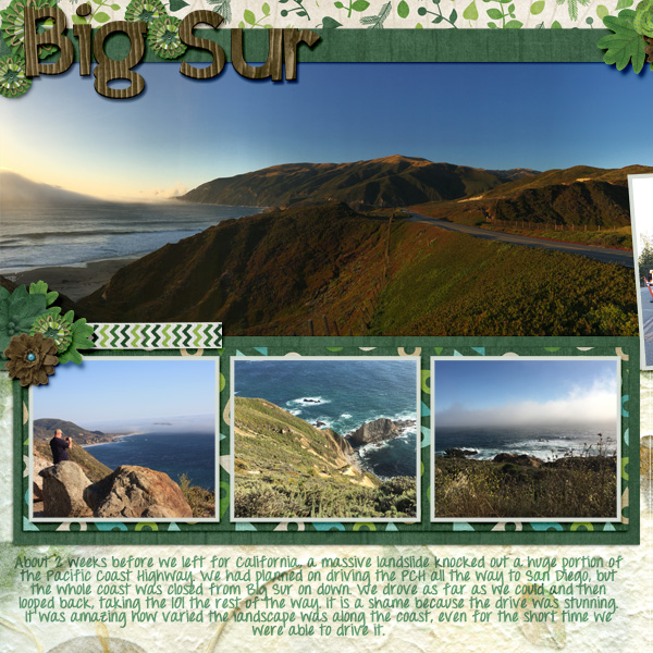 2017 CA Big Sur1