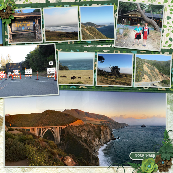 2017 CA Big Sur2