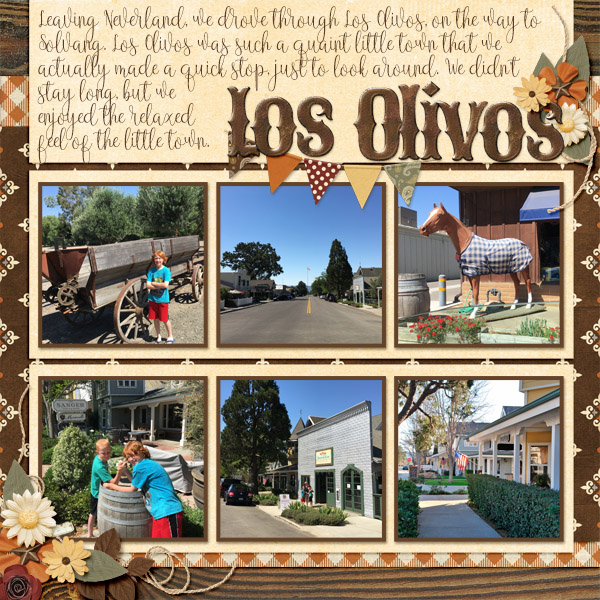 2017 CA HI Los Olivos