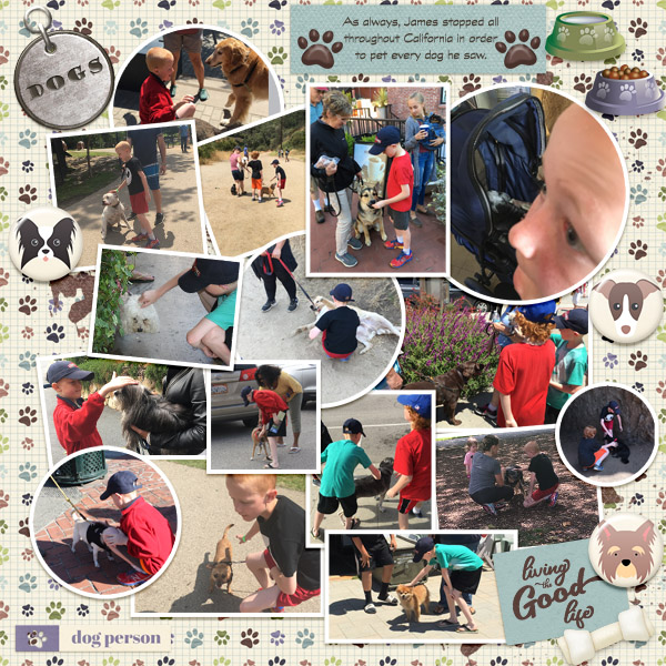 2017 CA HI Road Trip Dogs
