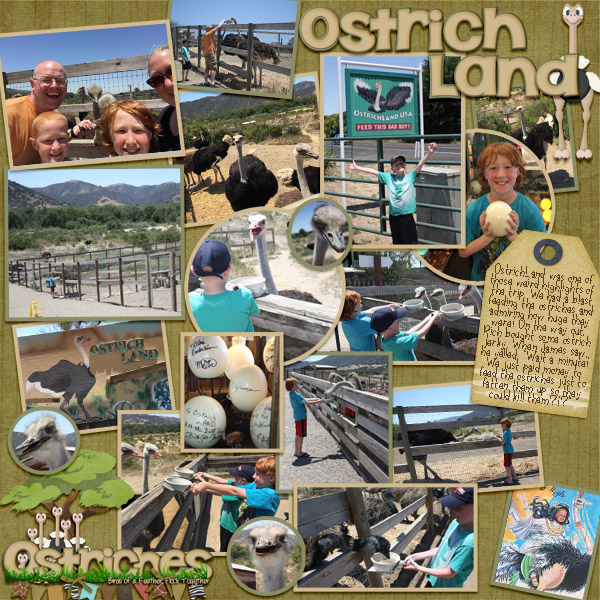 2017 CA Ostrichland