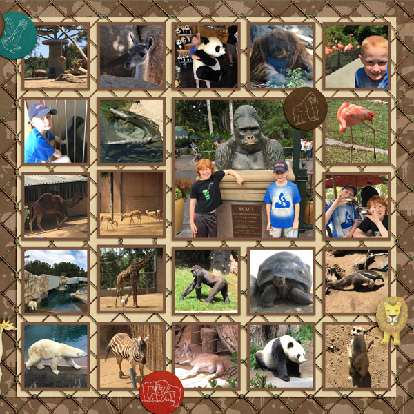 2017 CA SD Zoo