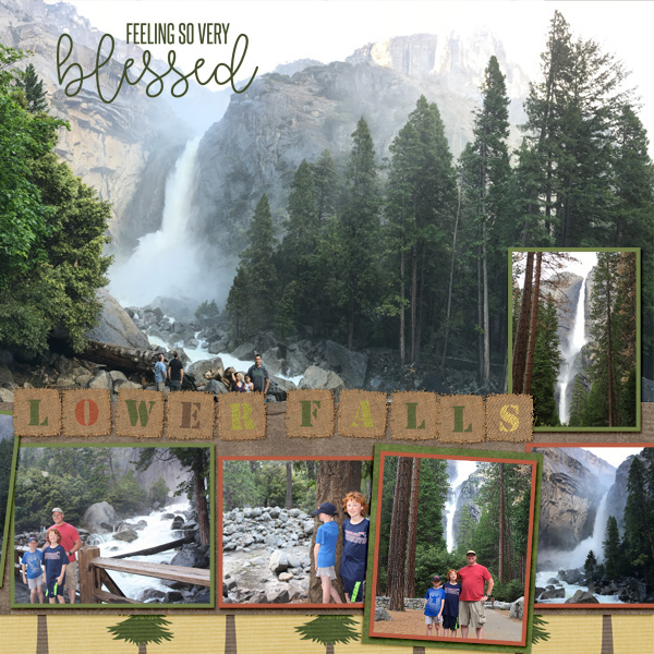 2017 CAHI Lower Falls