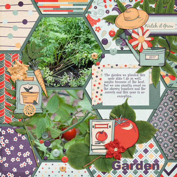 2017 Garden