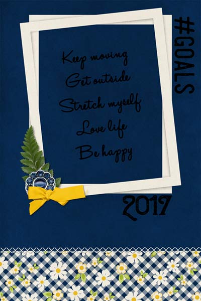 2017 Goals