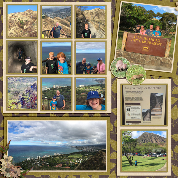 2017 HI Diamondhead 1
