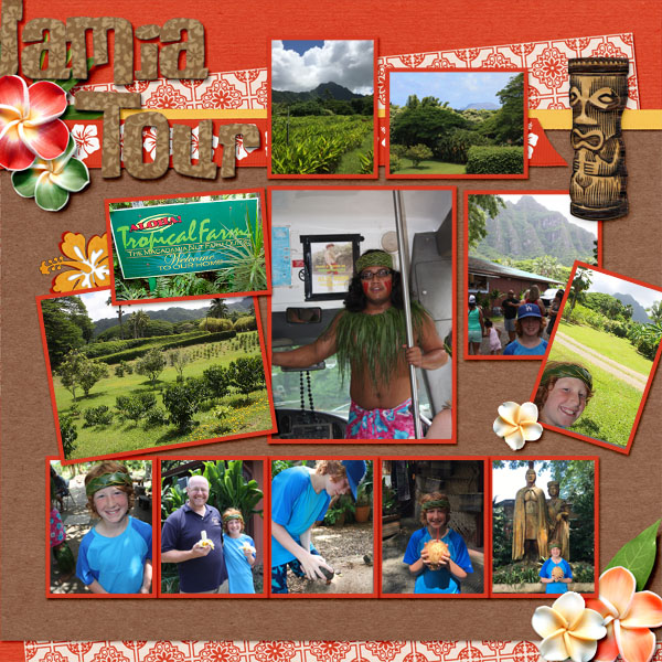 2017 HI Macadamia Nut Tour2