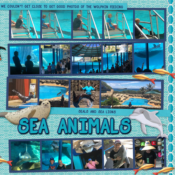 2017 HI Sea Life Park