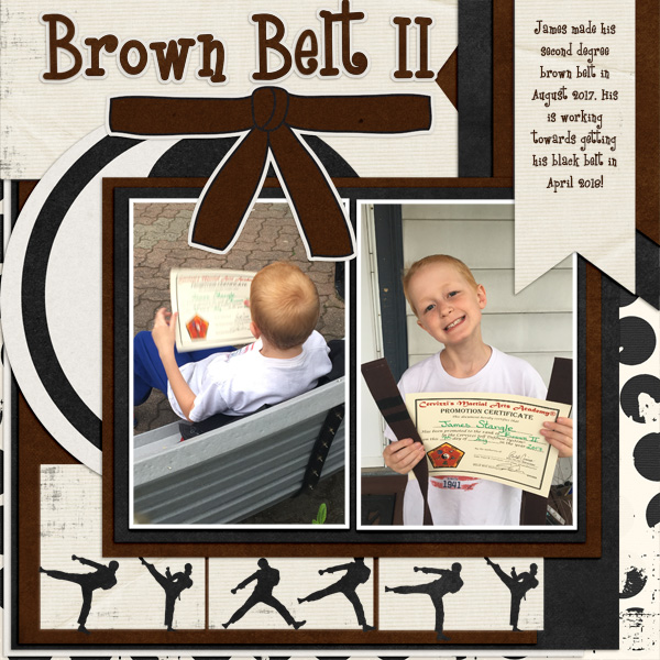 2017 JP Brown Belt