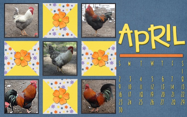 2017 March Desktop