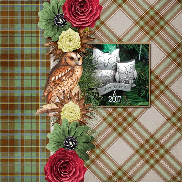 2017 ornament