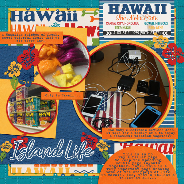 2017 Random Hawaii