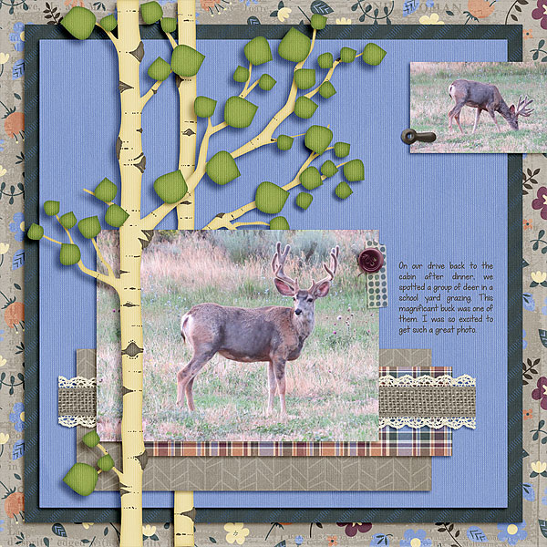 2017 Road Trip - Deer