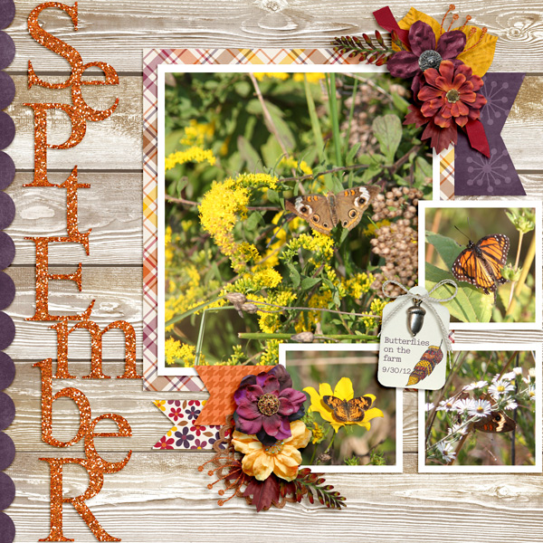 #2017 September - Butterflies