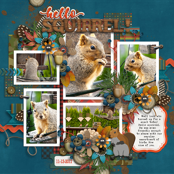 2017 Squirrel!