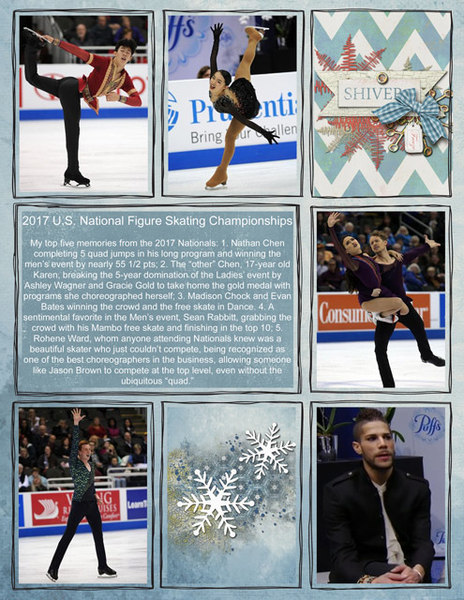 2017 U.S. National Figure Skating Championships