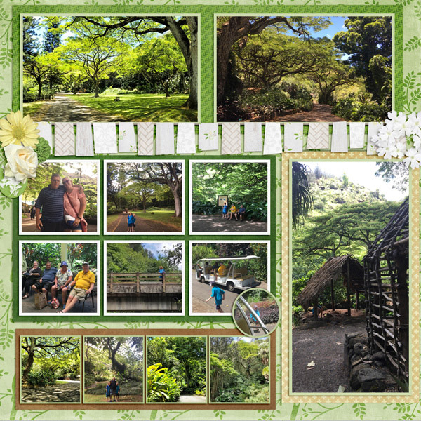 2017 Waiamea Hike1