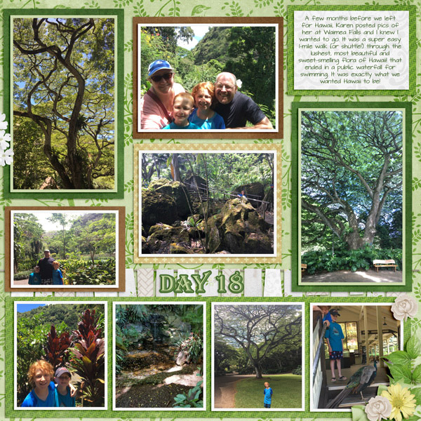 2017 Waiamea Hike2