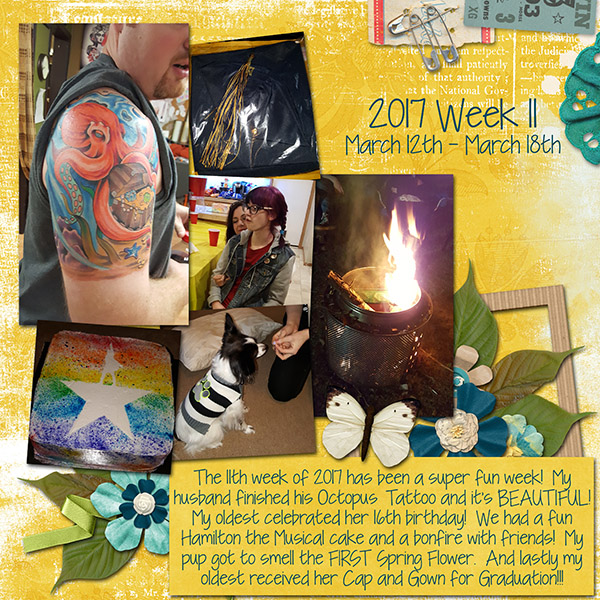 2017 Week 11 -- March 12th - March 18th