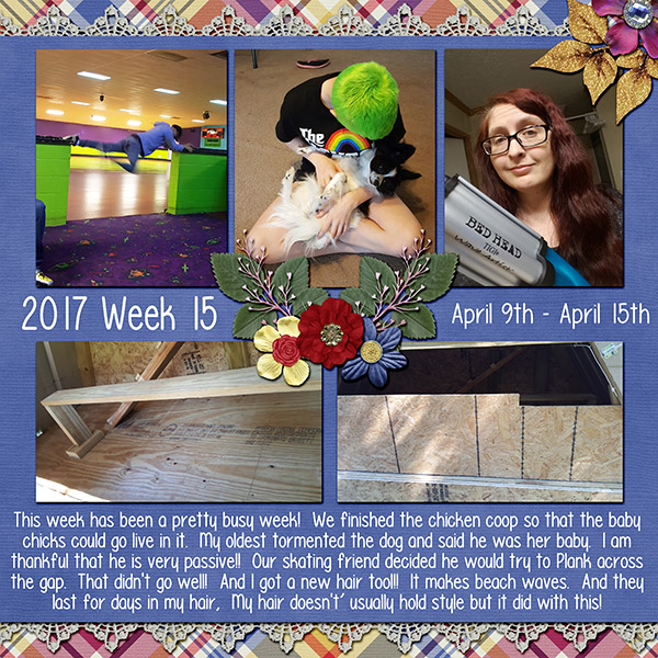 2017 Week 15 -- April 9th - April 15th