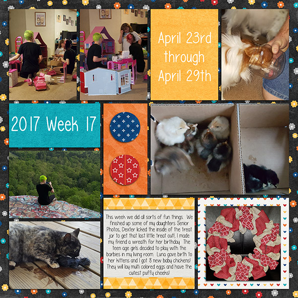 2017 Week 17