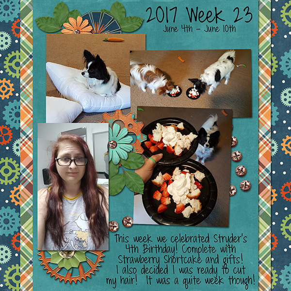 2017 Week 23