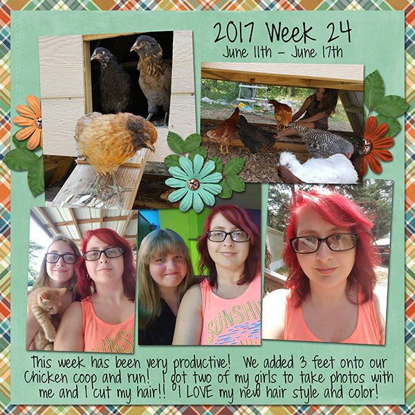 2017 Week 24