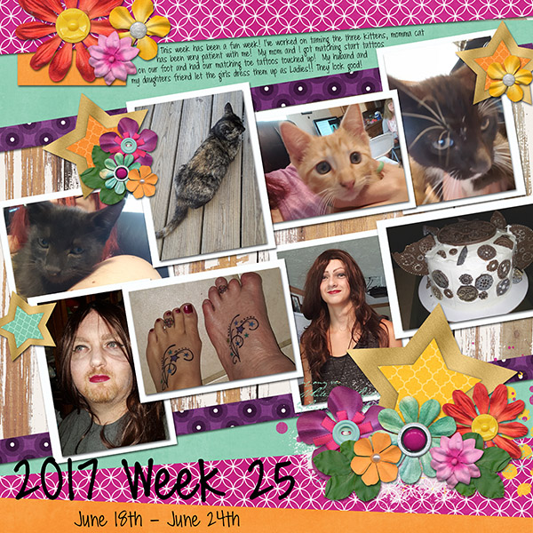 2017 Week 25