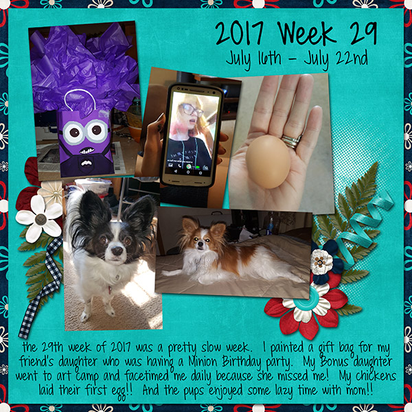 2017 Week 29