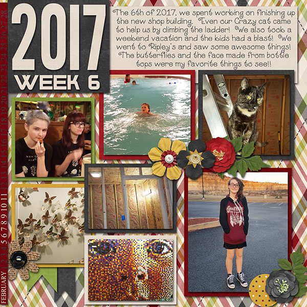 2017 Week 6 -- Feb 5th - Feb 11th