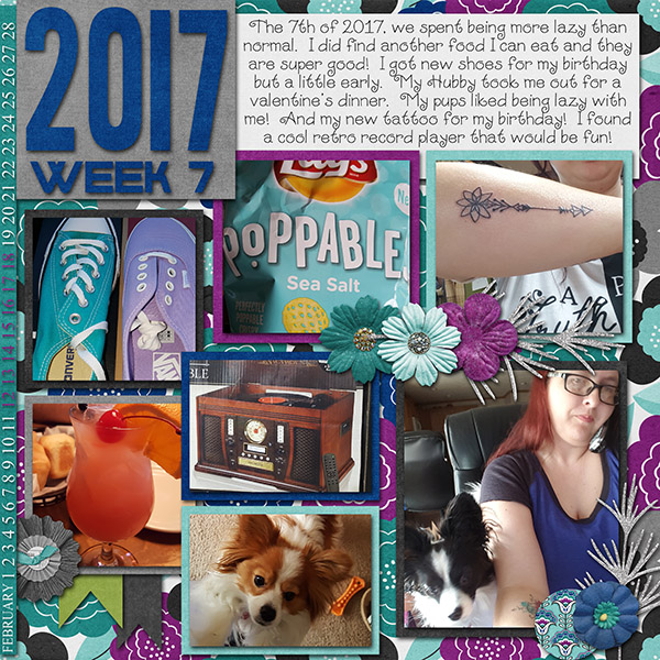 2017 Week 7 -- Feb 12th - Feb 18th