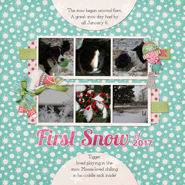 20170106_FirstSnow1