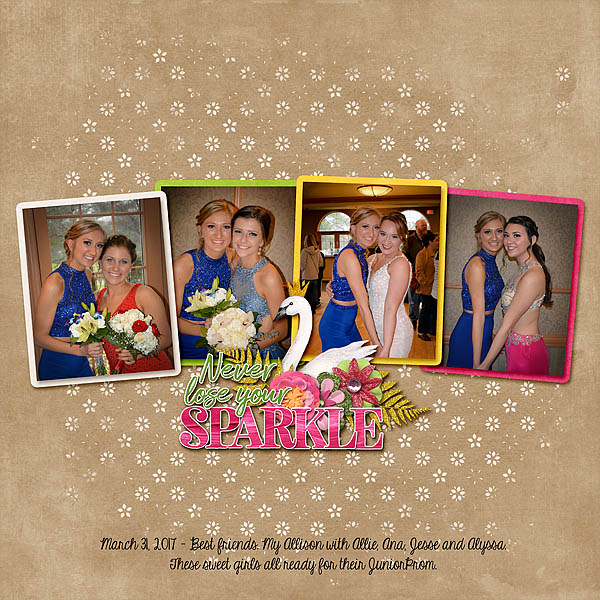 2017_3_32_allie_n_friends_prom_web