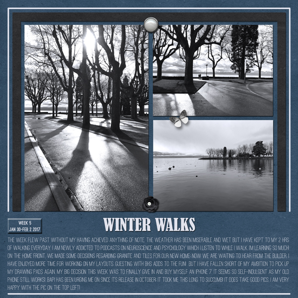 2017W7-Winter Walks