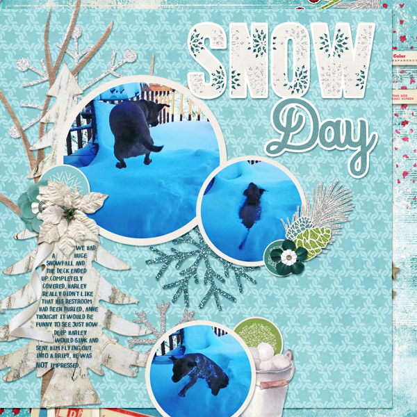 2018-01-23 Snow Day! cap_snowflakekissestemps3