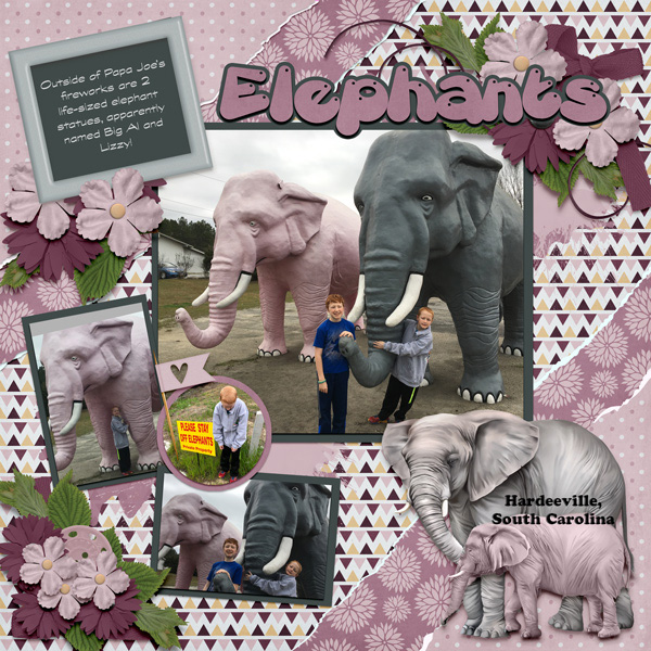 2018 02 Elephants