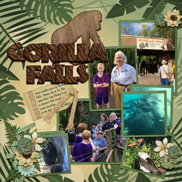 2018 02 Gorilla Falls